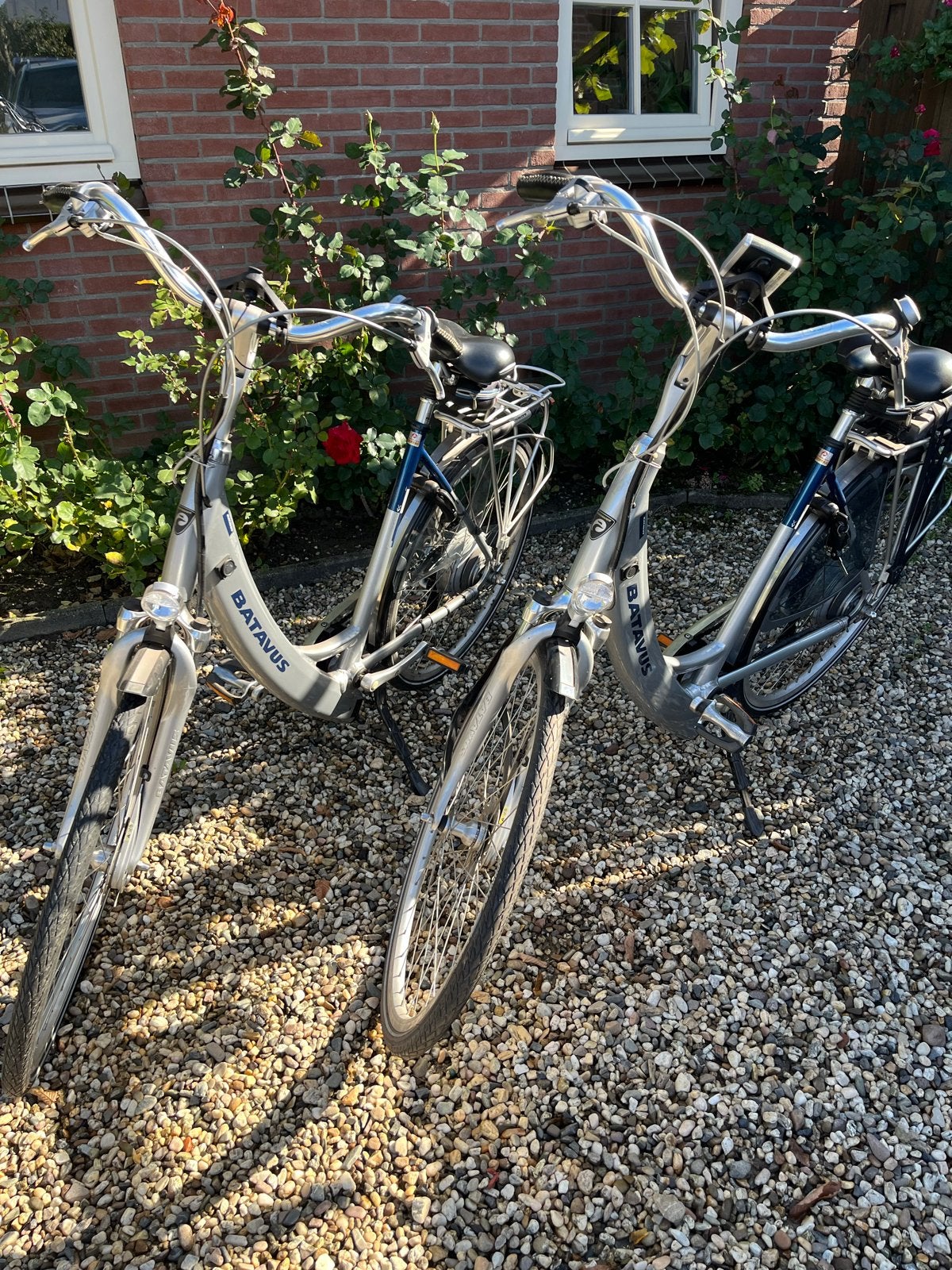 Twee Batavus fietsen met defecte accu, Ophalen, Velgrem, Batavus, 50 tot 53 cm