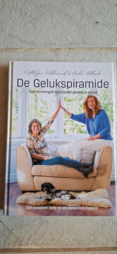 De Gelukspiramide: Voor een energiek leven, Ophalen of Verzenden, Gelezen, Cathalijne Wildervanck & Amber Albarda