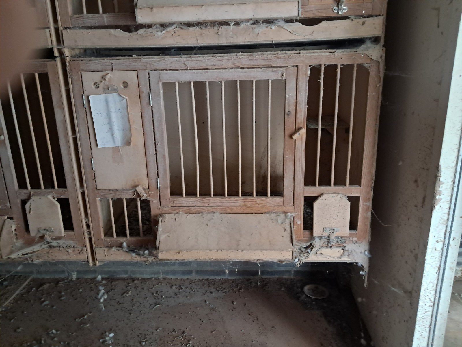 hernes kweekboxen, Dieren en Toebehoren, Mannelijk