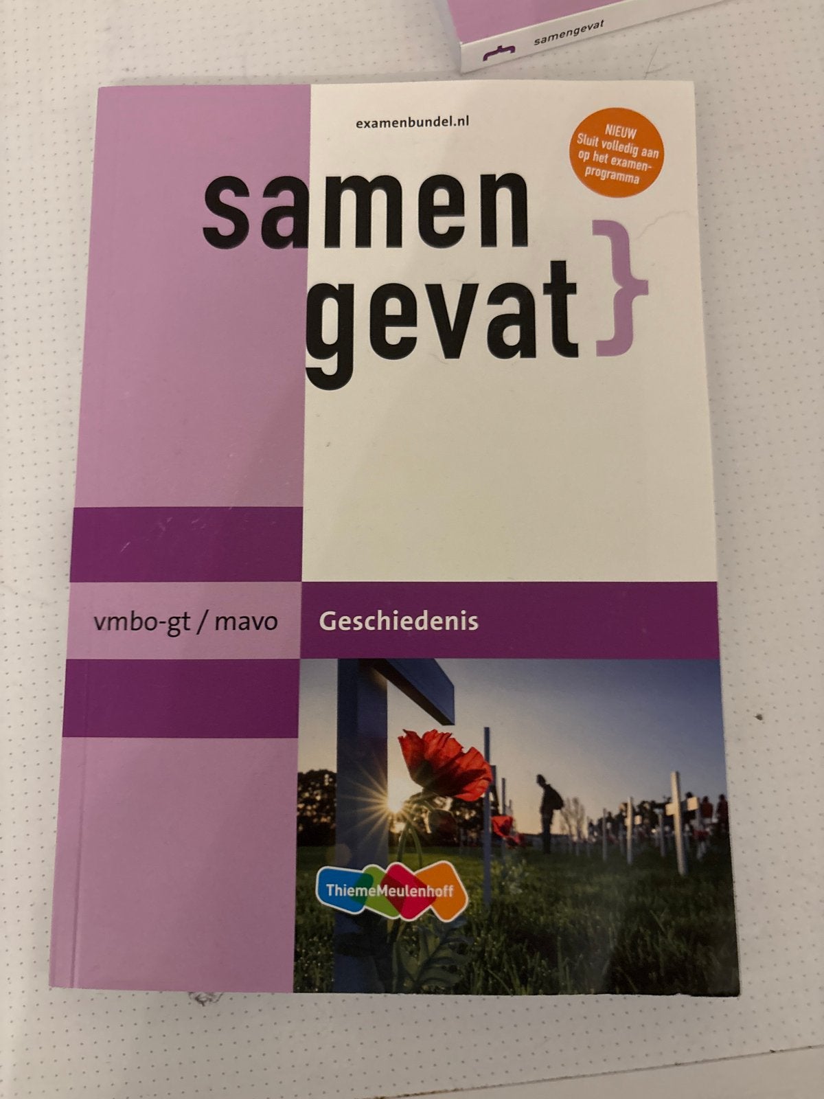 Samengevat Geschiedenis vmbo-gt/mavo - Nieuwstaat, Boeken, Schoolboeken, Ophalen of Verzenden, Nieuw, VMBO, Geschiedenis