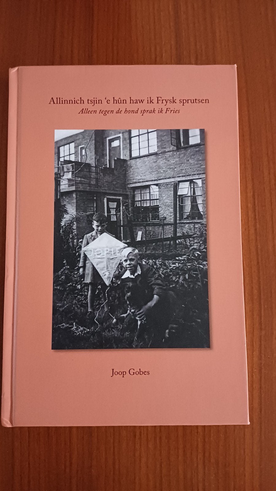 Allinnich tsjin 'e hûn haw ik Frysk sprutsen - Joop Gobes, Ophalen of Verzenden, Zo goed als nieuw, Joop Gobes, Nederland