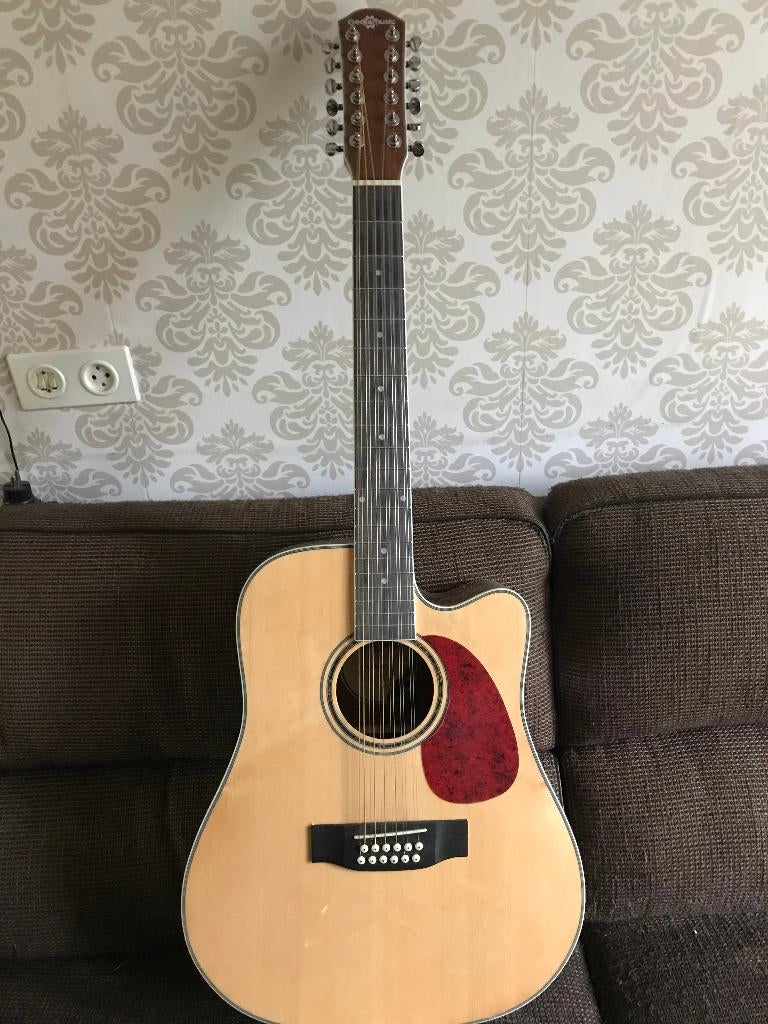 Mooie 12 string gitaar, Muziek en Instrumenten, Ophalen, Zo goed als nieuw, Western- of Steelstringgitaar, 12-snarig