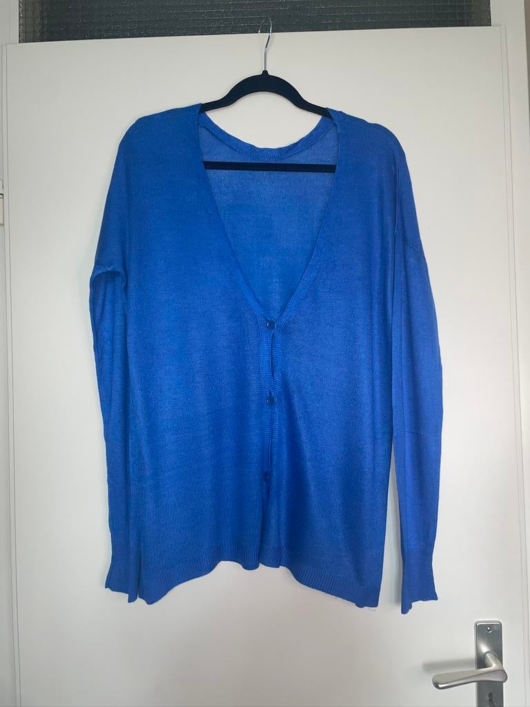 MAISON ANJE dames blauwe cardigan trui vest met knopen mt M, Kleding | Dames, Ophalen of Verzenden, Zo goed als nieuw, Maat 38/40 (M)