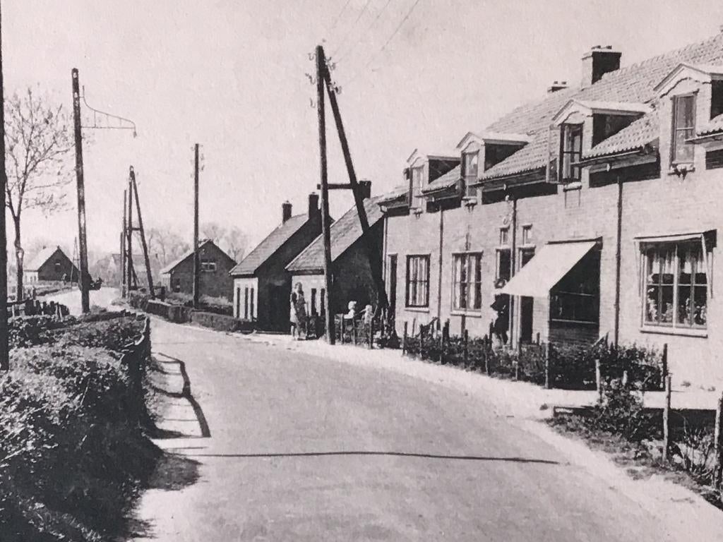 Rozenburg Boomendijk ca 1950, Verzenden, 1940 tot 1960, Ongelopen, Zuid-Holland
