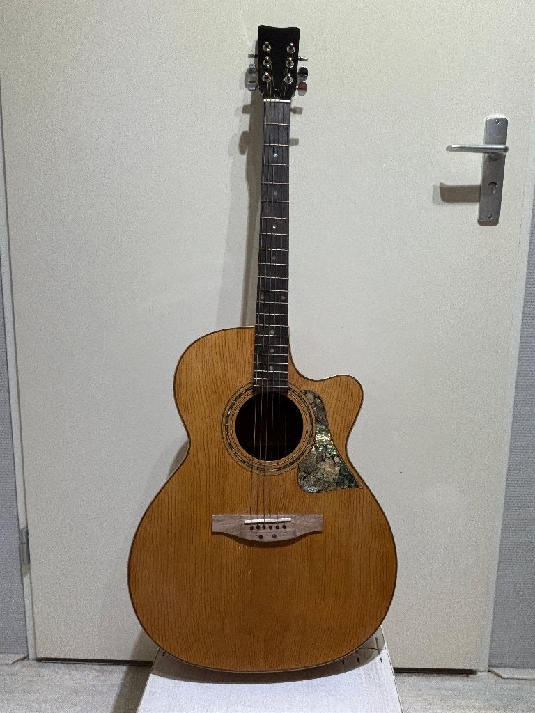 Filipijnse gitaar (Cebu), Ophalen of Verzenden, Gebruikt, Klassieke of Spaanse gitaar, Met koffer