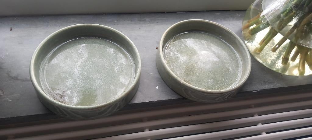 Twee stenen mint groene voerbakjes kat te koop!, Ophalen of Verzenden, Zo goed als nieuw