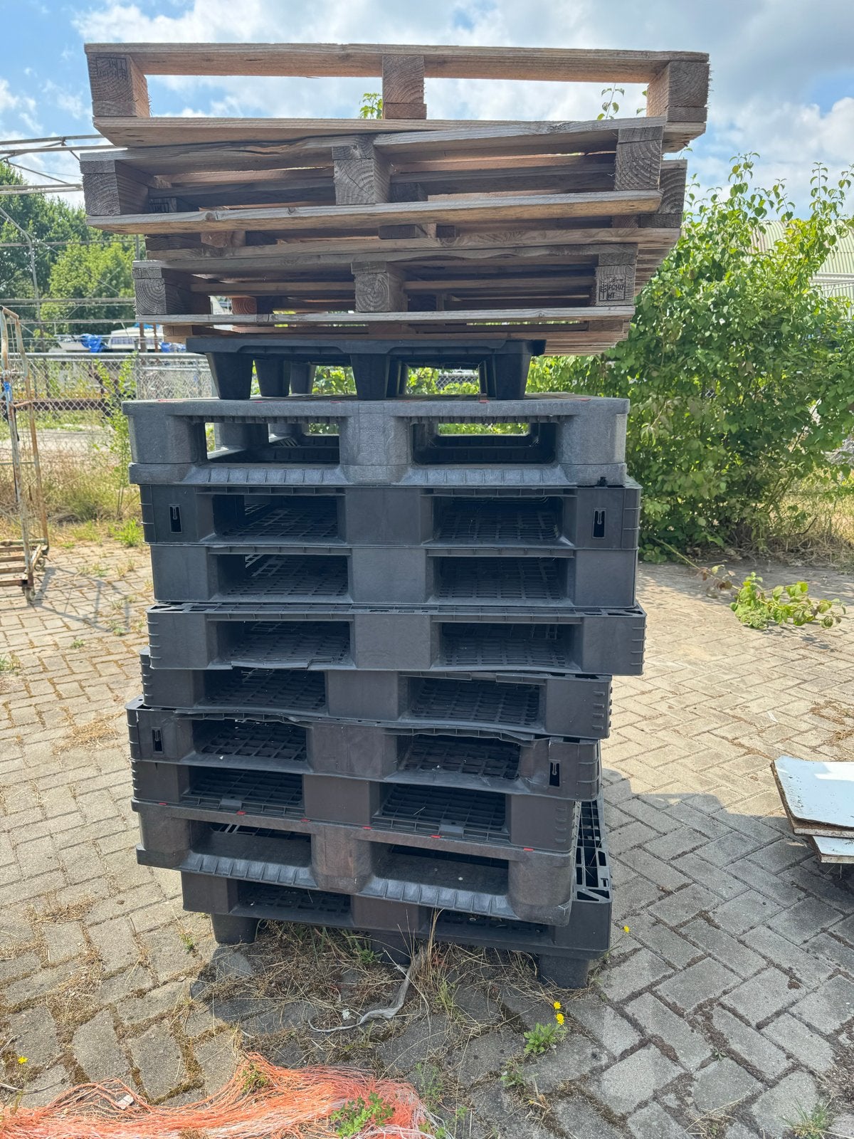 Diverse pallets: hout en kunststof, Gebruikt, 25 tot 50 mm, Pallet, Ophalen
