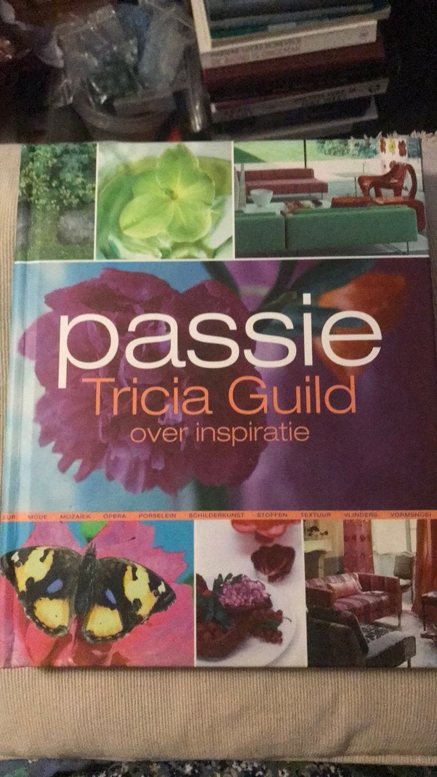 Tricia Guild - PASSIE, E. Thompson; T. Guild, Ophalen of Verzenden, Zo goed als nieuw, Interieur en Design