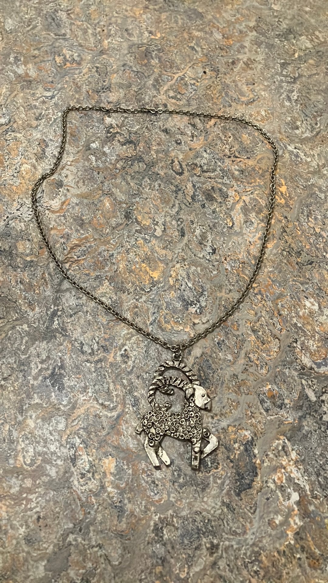 Steenbok bedel met ketting, Ophalen of Verzenden, Zo goed als nieuw, Zilver, Overige materialen