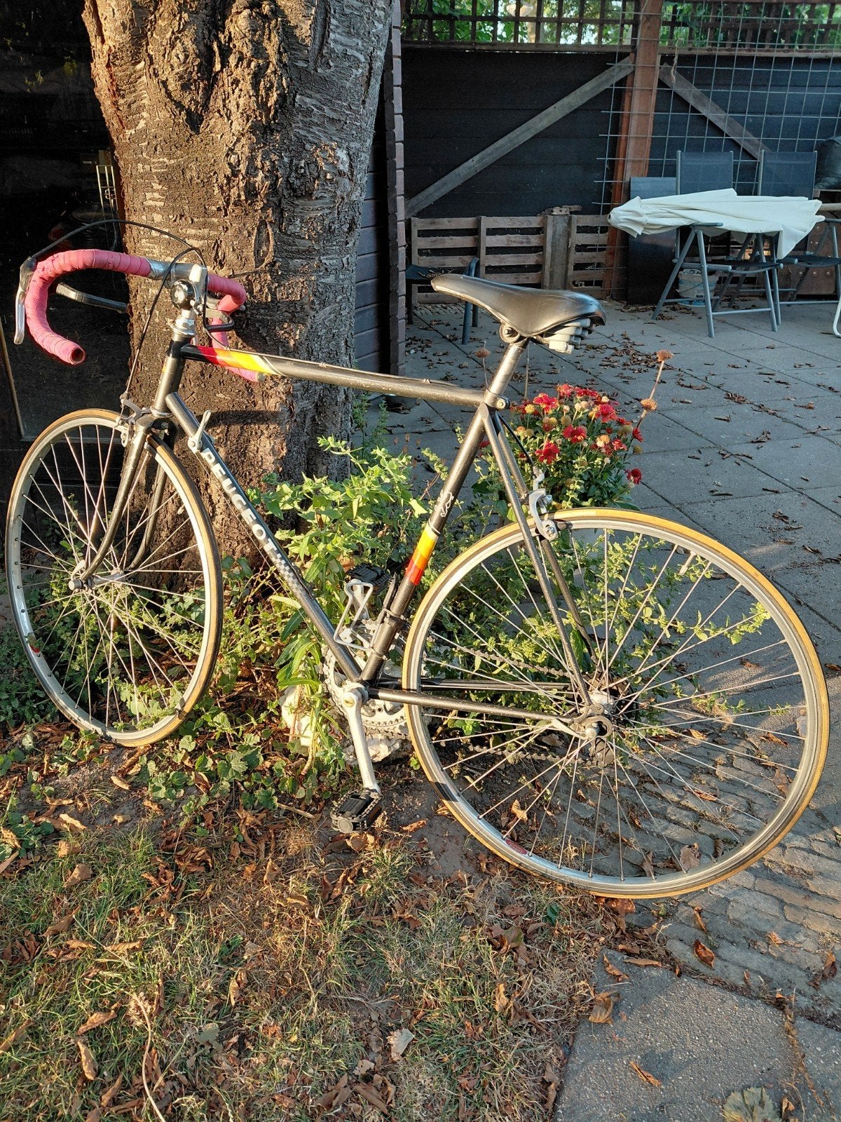 vintage racefiets Peugot, 55 tot 59 cm, Ophalen, Peugot