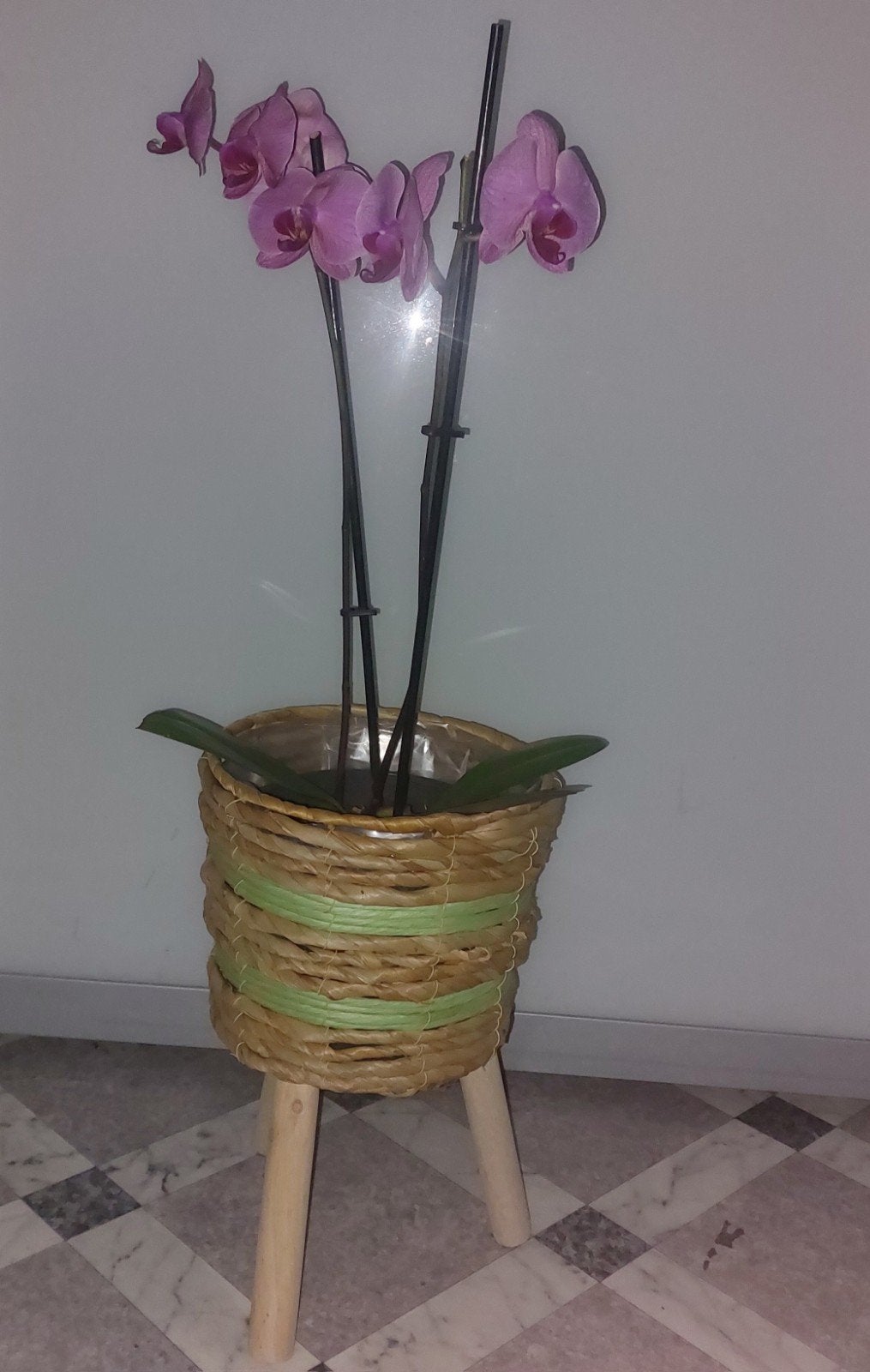 Bloempot, Tuin en Terras, Ophalen, Rond, Binnen, Minder dan 30 cm