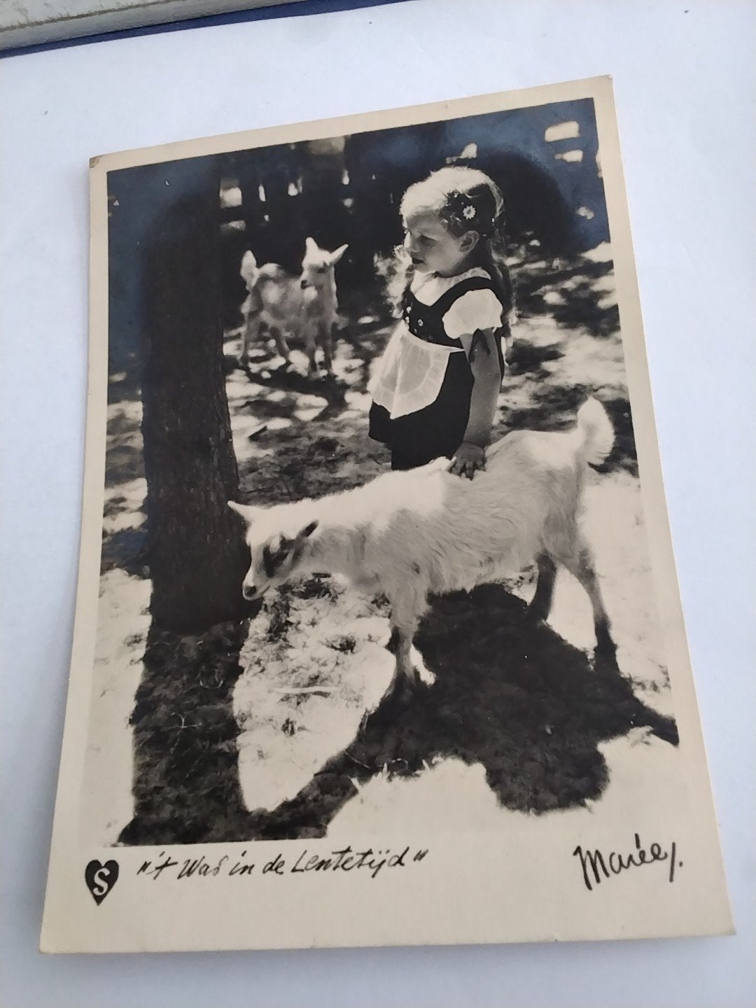 'T WAS IN DE LENTETIJD  MEISJE. AAIT GEIT, Verzamelen, Ophalen of Verzenden, Voor 1920, Kinderen