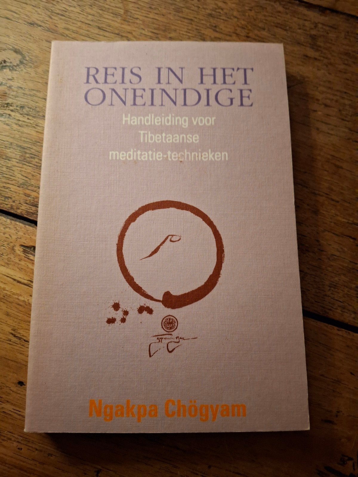 N. Chogyam - Reis in het oneindige, Boeken, Esoterie en Spiritualiteit, Ophalen of Verzenden, Gelezen, N. Chogyam