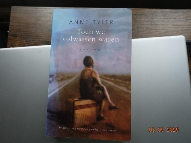 Toen we volwassen waren.....Anne Tyler, Ophalen, Zo goed als nieuw, Amerika