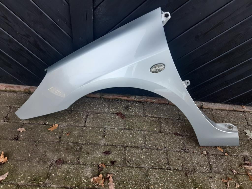 Linker en rechter zijscherm/spatbord peugeot 307 restyle,EZR, Auto-onderdelen, Ophalen, Gebruikt, Peugeot