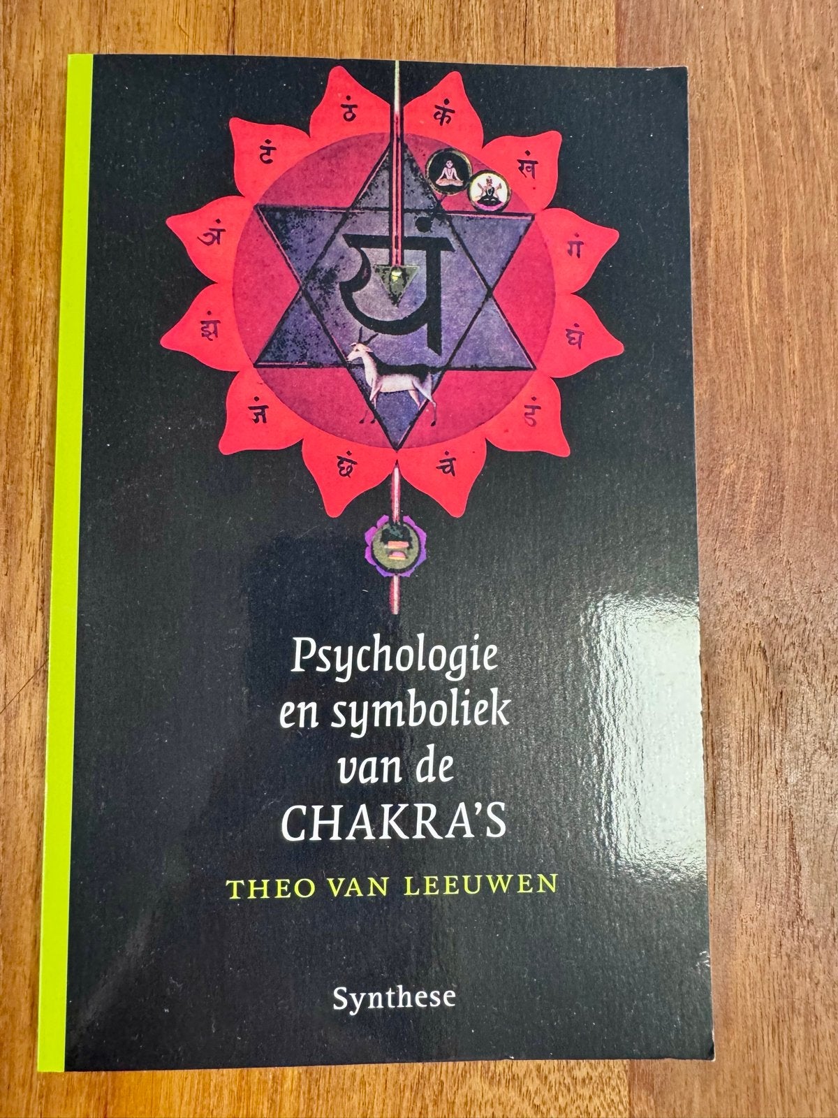 Psychologie en symboliek van de CHAKRA'S - Theo van Leeuwen, Ophalen of Verzenden, Nieuw, Spiritualiteit algemeen, Achtergrond en Informatie