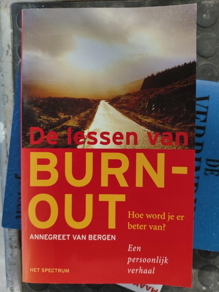 A. van Bergen - De lessen van burn-out, Ophalen of Verzenden, A. van Bergen, Ontwikkelingspsychologie, Zo goed als nieuw