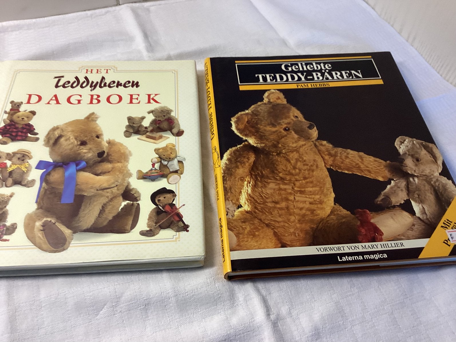 2 Teddyberen boeken, Ophalen of Verzenden, Zo goed als nieuw
