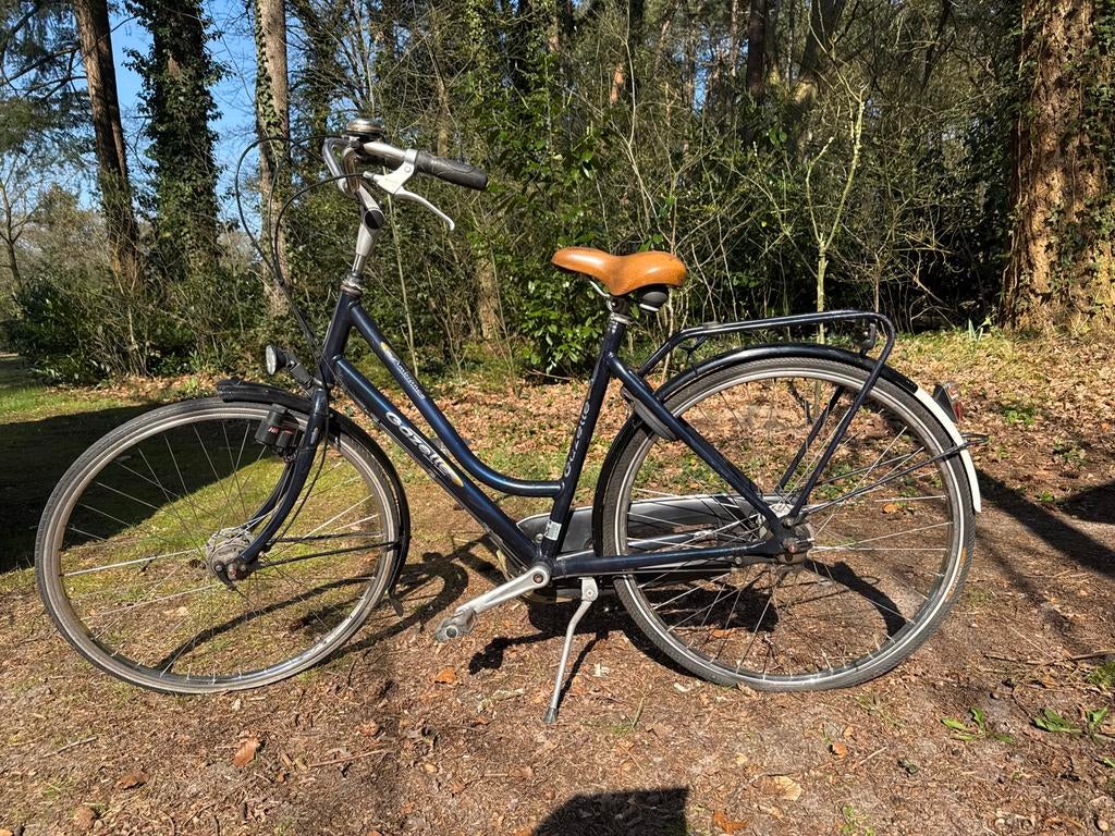 Nette Gazelle fiets - banden plakken, zadel vervangen, Fietsen en Brommers, Ophalen, Versnellingen, Gazelle, 53 tot 56 cm