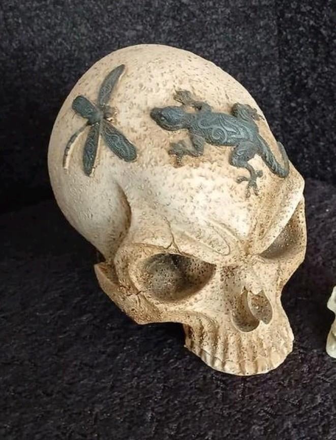 Skelet kop (namaak), Verzamelen, Beelden en Beeldjes, Ophalen, Zo goed als nieuw, Overige typen