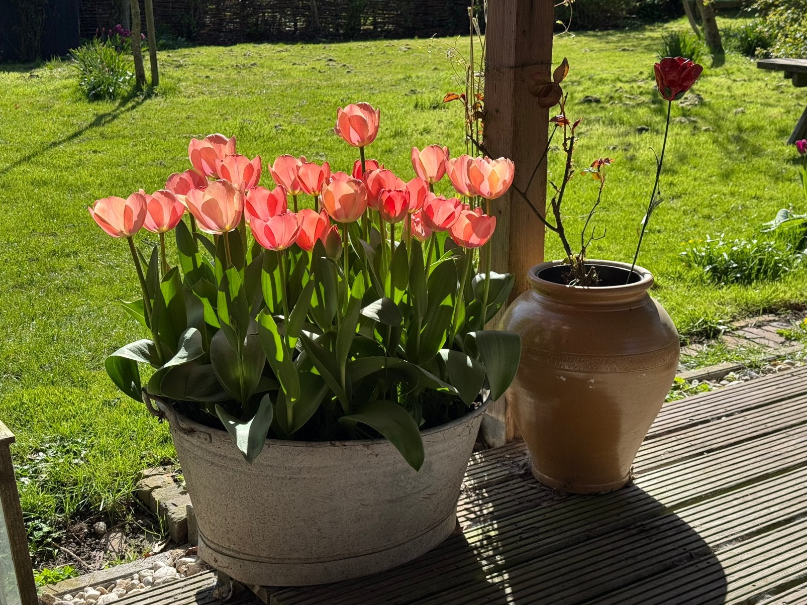 Studio gezocht in Deventer, Huizen en Kamers, Kamers te huur, Deventer