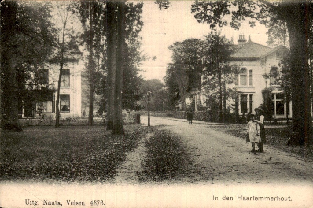 Haarlem - Haarlemmerhout - Laan met villas, Ophalen of Verzenden, Voor 1920, Gelopen, Noord-Holland