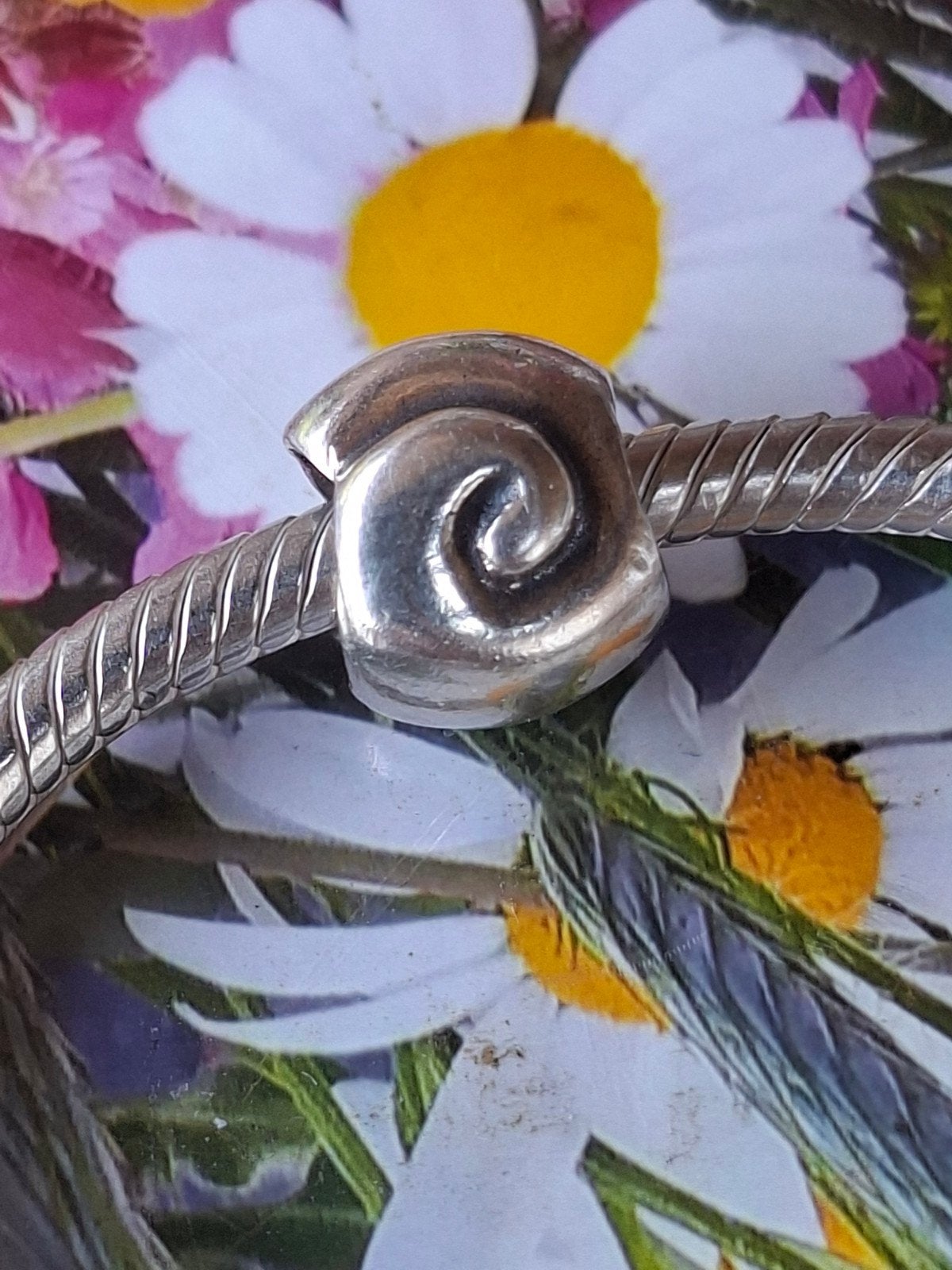Pandora schelp., Pandora, Ophalen of Verzenden, Zo goed als nieuw, 1 bedel