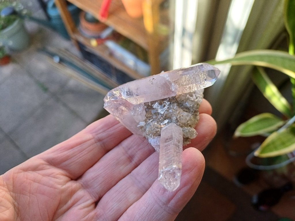 VC6 Amethyst Mine de Vera Cruz Las Vigas de Ramirez Mexico, Ophalen of Verzenden, Mineraal