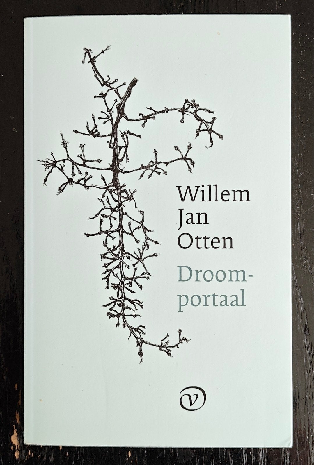 Willem Jan Otten - Droomportaal, Ophalen of Verzenden, Zo goed als nieuw, Willem Jan Otten