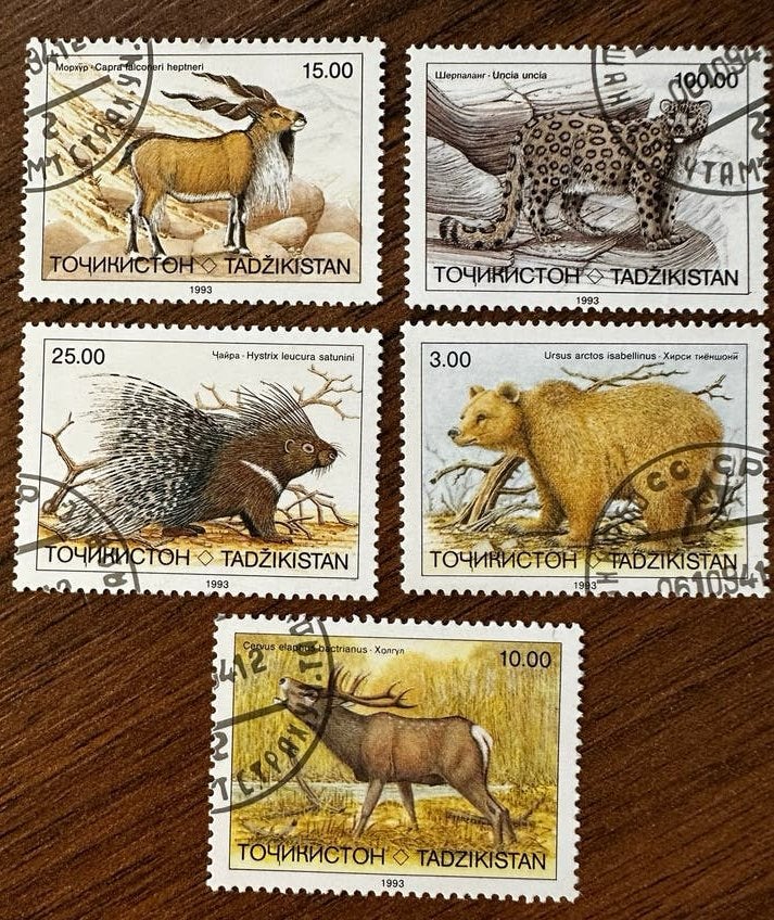 Tadzjikistan 1993 Dieren beren stekelvarken - Gestempeld, Ophalen of Verzenden, Gestempeld