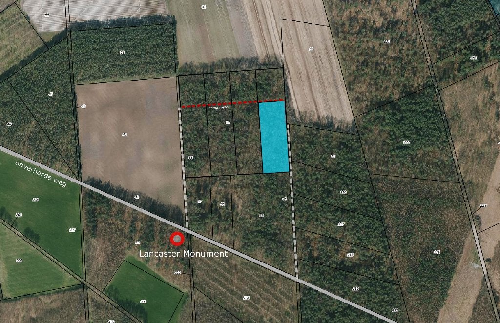Bosgrond Grashoek, vlakbij Eindhoven, Grashoek, 1500 m² of meer