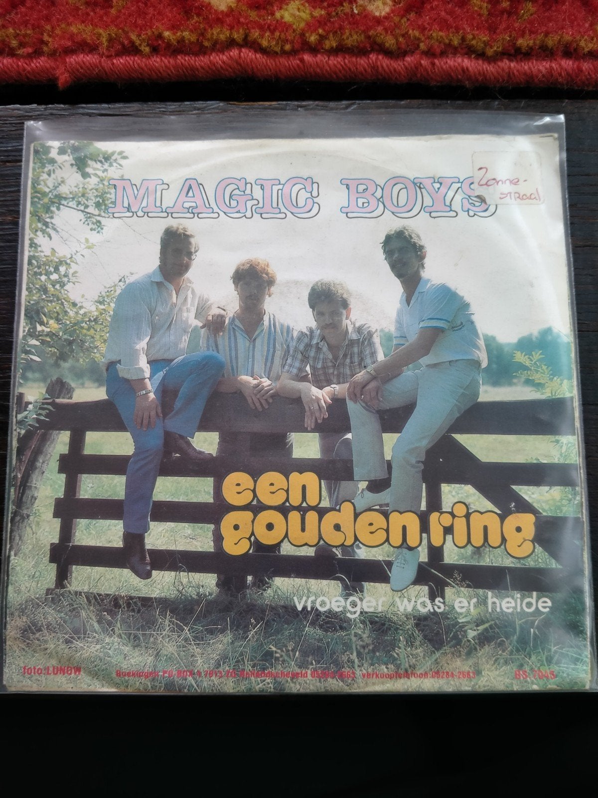 gezocht piraten singels, Cd's en Dvd's, Vinyl | Nederlandstalig, Ophalen, Zo goed als nieuw, Overige formaten, Levenslied of Smartlap