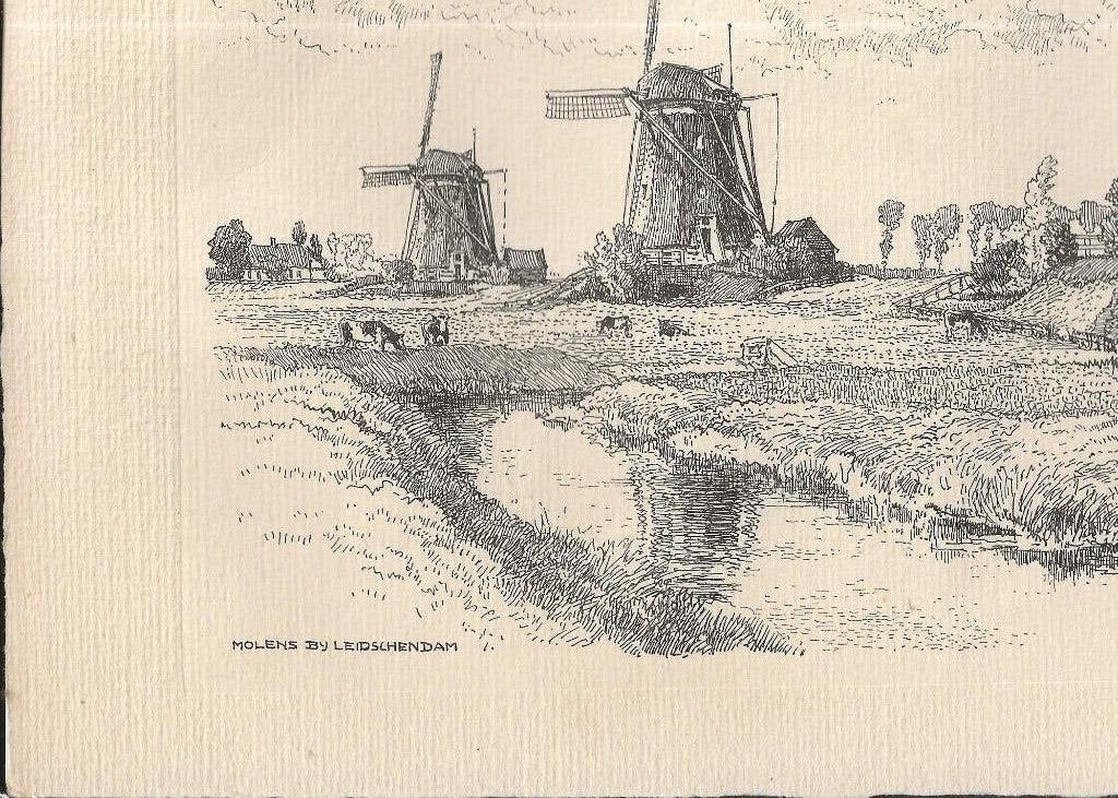 Leidschendam Molens H E Roodenburg, Ophalen of Verzenden, Ongelopen, Zuid-Holland