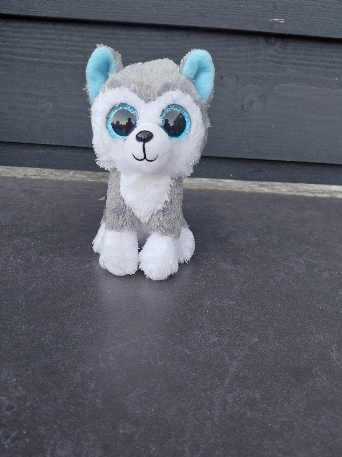 Slush Ty Beanie Boo, Ophalen, Overige karakters, Hond, Zo goed als nieuw