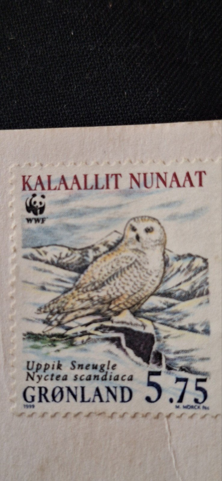 Groenland 1999 WWF Sneeuwuil postzegel, Ophalen, Overige landen, Gestempeld
