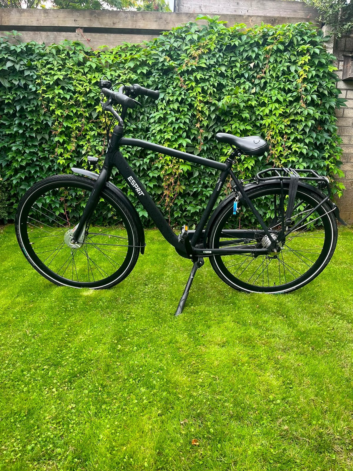 Stevige Gazelle Esprit, Gebruikt, Versnellingen, Trommelrem, Ophalen