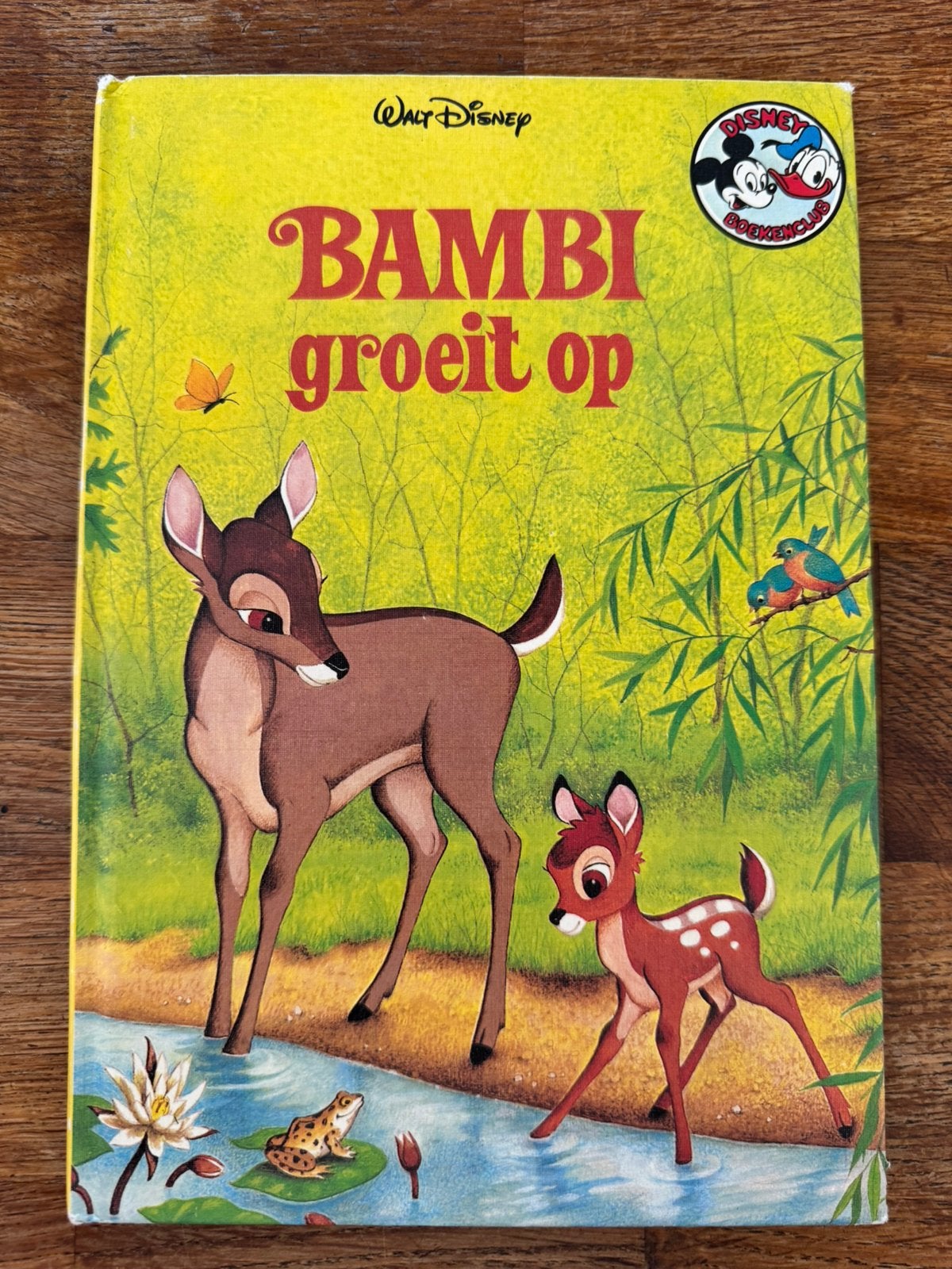 Boek Bambi groeit op - Walt Disney, Jongen of Meisje, Walt Disney, Ophalen of Verzenden, Zo goed als nieuw