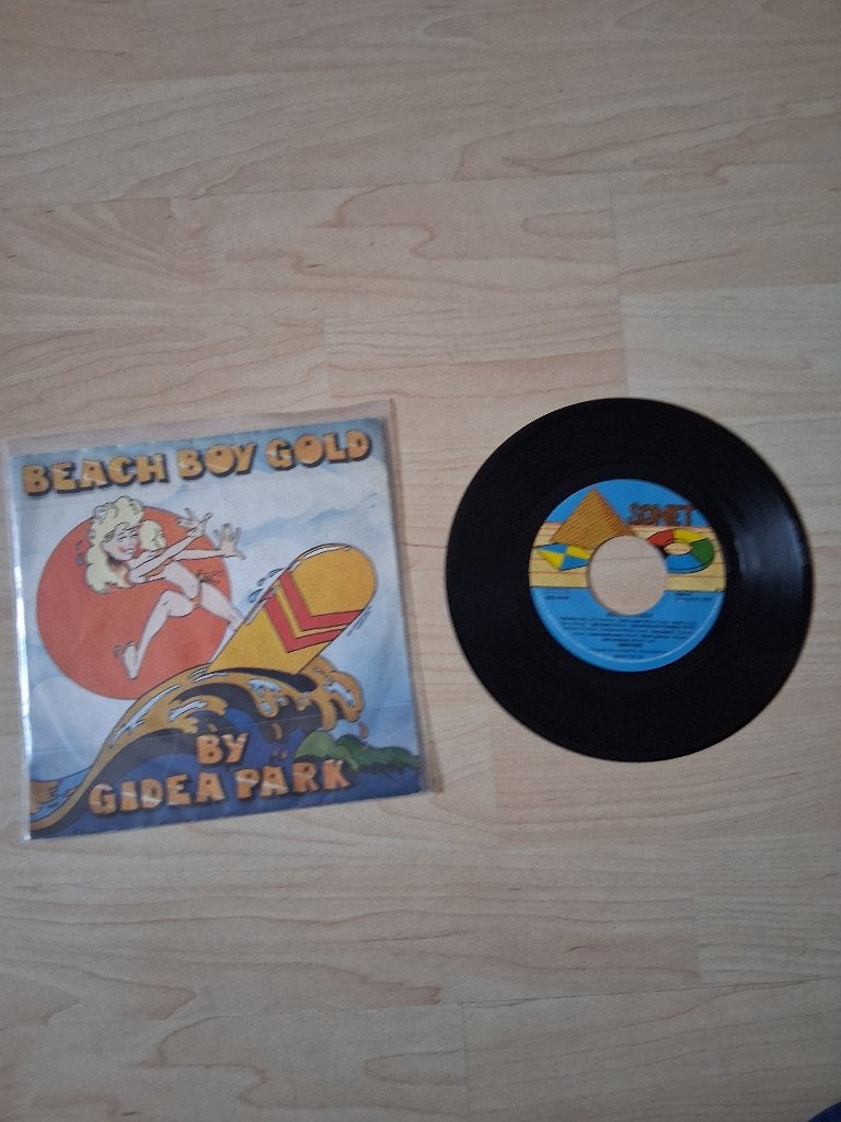 the Beach boys  4, Ophalen of Verzenden, Gebruikt, Pop