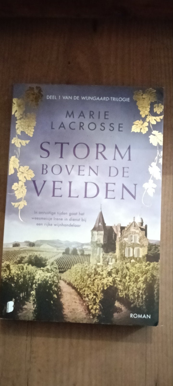 Storm Boven De Velden - Marie Lacrosse (Deel 1), Gelezen, Europa overig, Marie Lacrosse, Ophalen of Verzenden