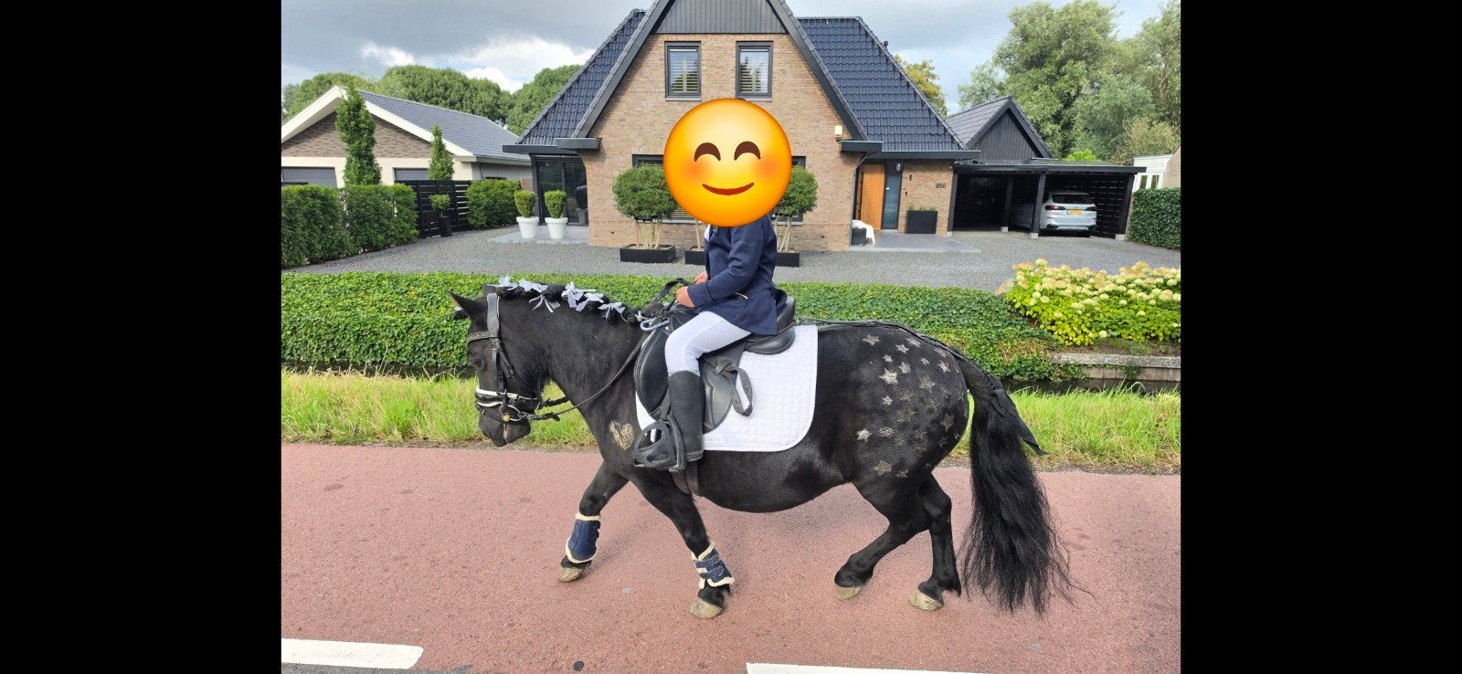 nog steeds opzoek!! leasepony aangeboden