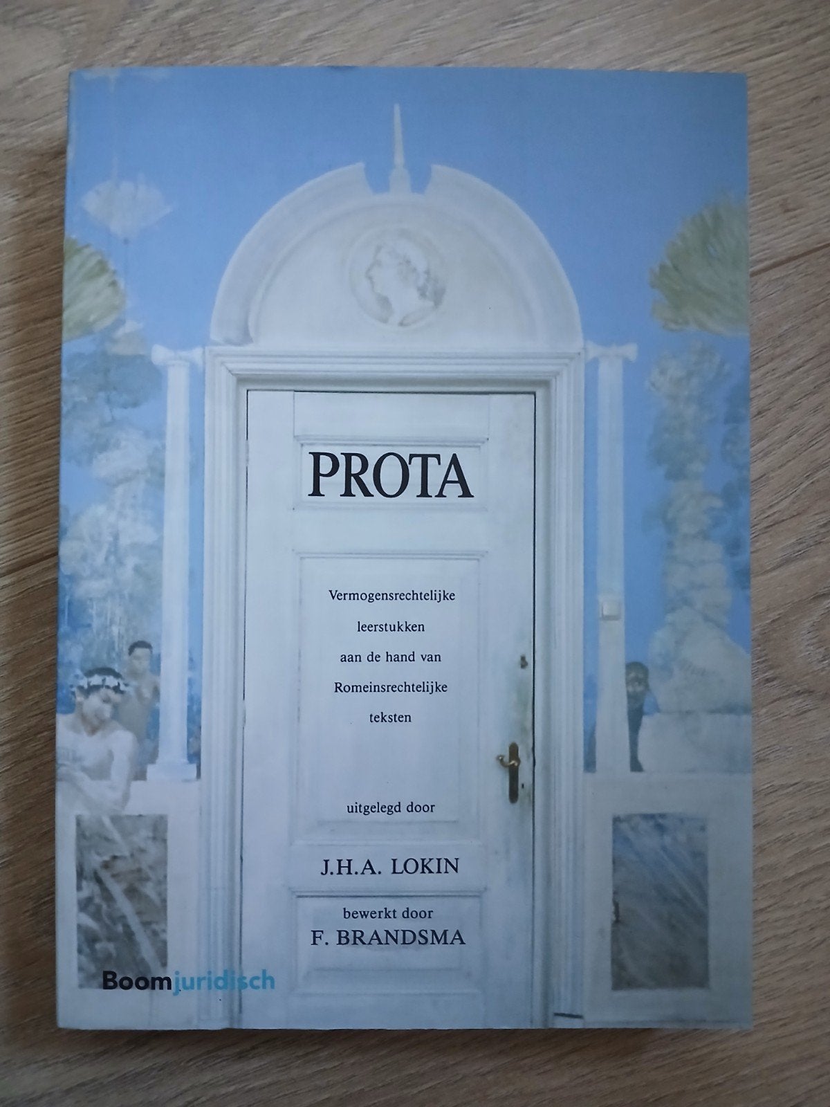 PROTA Vermogensrechtelijke leerstukken - J.H.A. LOKIN, J.H.A. LOKIN, F. BRANDSMA, Nieuw, Ophalen of Verzenden, WO