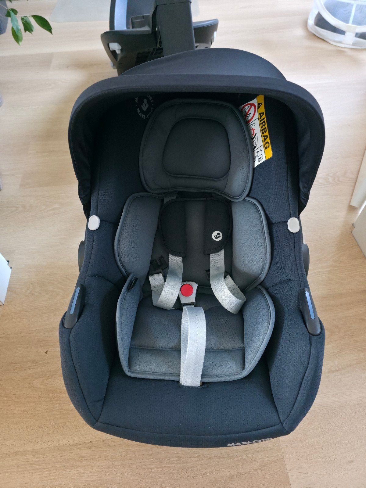 Maxi-Cosi Tinca (CabrioFix) I-Size utostoel + hoes, Kinderen en Baby's, Autostoeltjes, Ophalen of Verzenden, Zo goed als nieuw