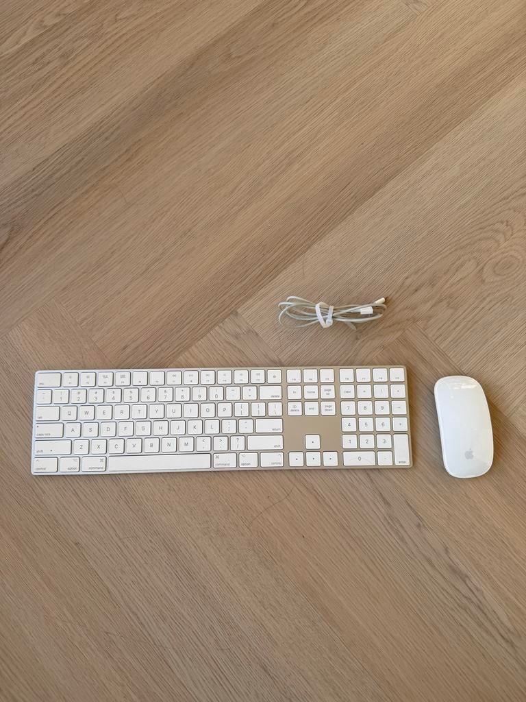 Apple Magic Keyboard met Magic Mouse, Computers en Software, Toetsenborden, Ophalen, Gebruikt, Toetsenbord en muis-set, Draadloos