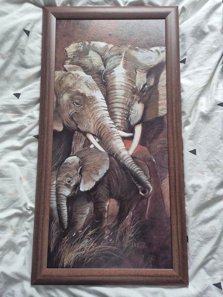 Set van 3 ingelijste Afrikaanse dieren prints, Ophalen, Minder dan 50 cm, Gebruikt, 50 tot 75 cm