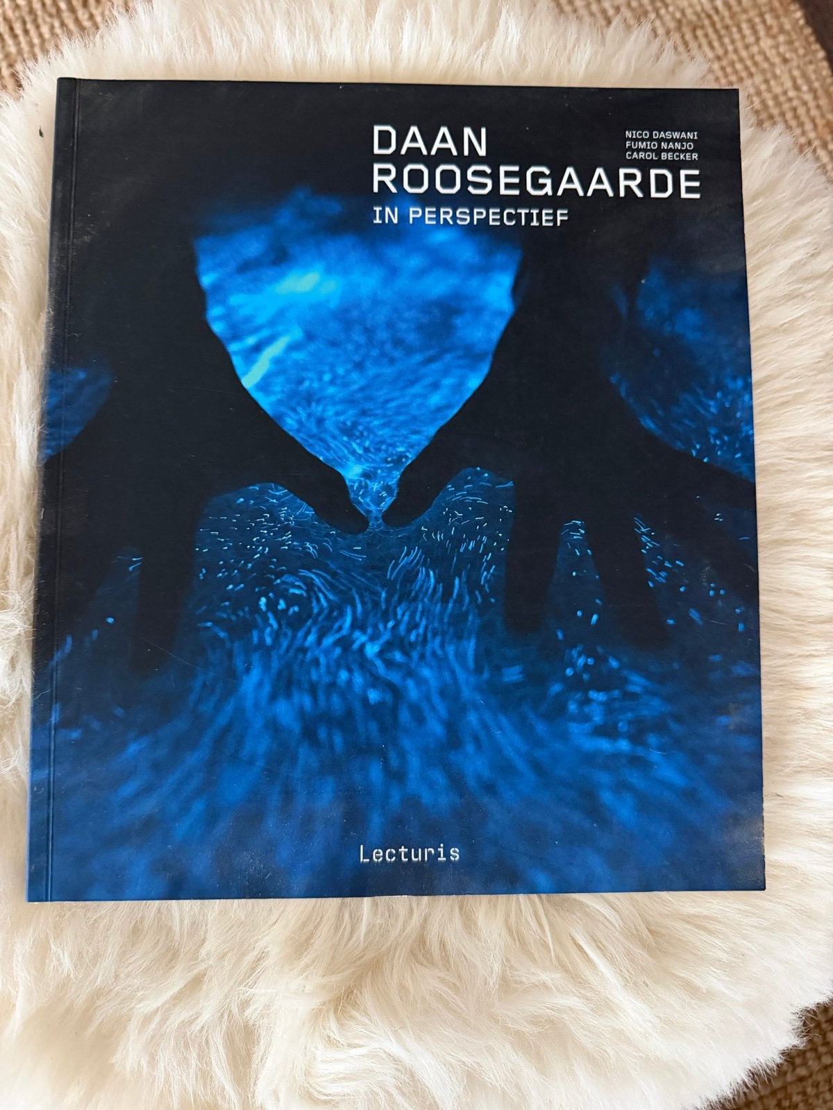 Daan Roosegaarde in Perspectief - Kunstboek, Ophalen of Verzenden, Zo goed als nieuw, Overige onderwerpen