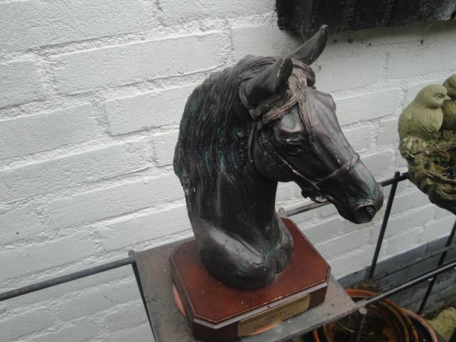 paardenhoofd verbronst, Ophalen of Verzenden, Nieuw