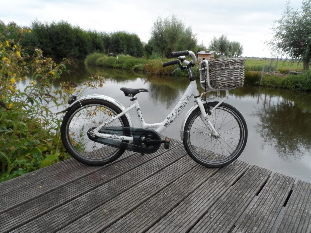 kinderfiets 20 inch, Ophalen, Terugtraprem, Gebruikt, 20 inch