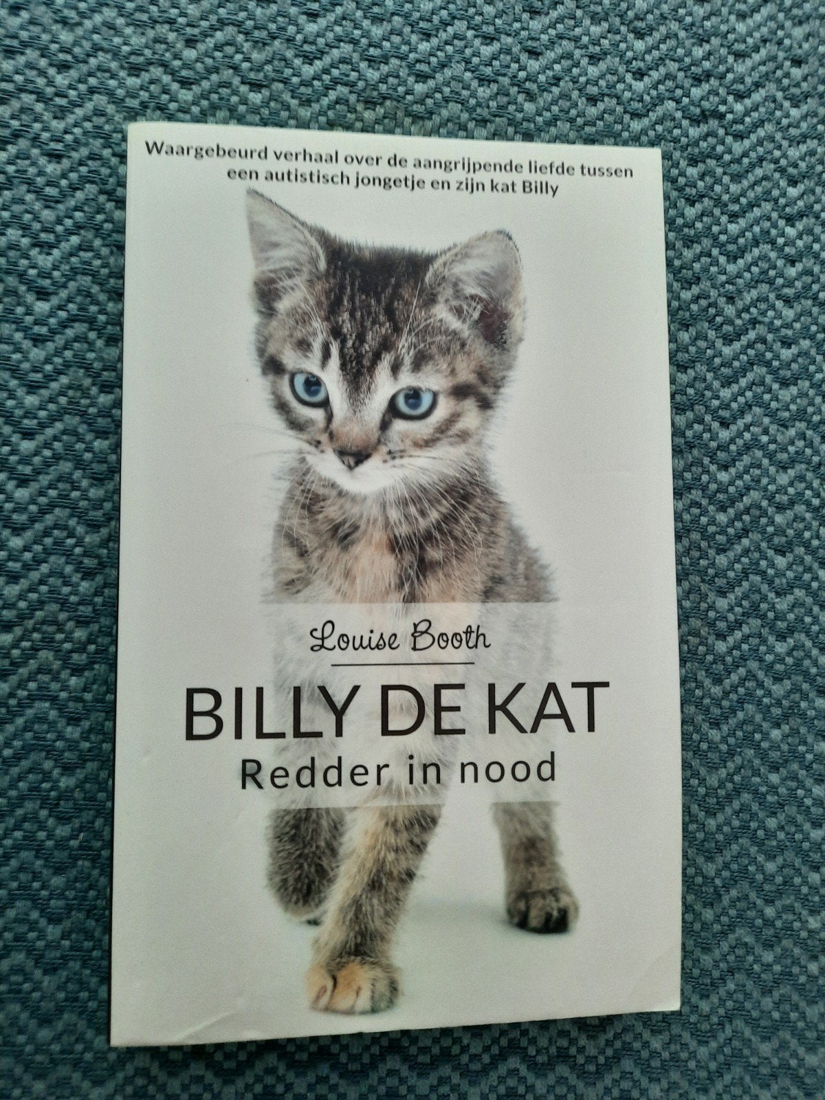 Billy de Kat: Redder in nood - Waargebeurd verhaal, Boeken, Biografieën, Zo goed als nieuw, Overige, Ophalen of Verzenden