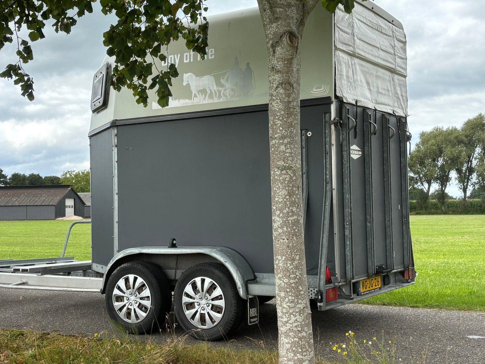 Trailer met menwagen vervoer, Ophalen of Verzenden, Zo goed als nieuw