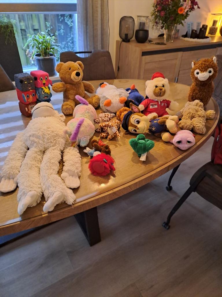 Grote sporttas vol diverse knuffels - Zo goed als nieuw!, Ophalen of Verzenden, Zo goed als nieuw, Middelgroot (20 tot 80 cm)
